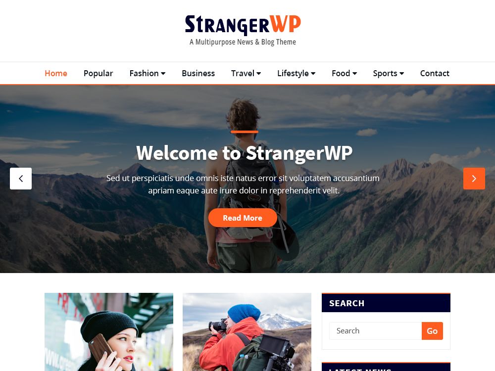 strangerwp free wordpress theme