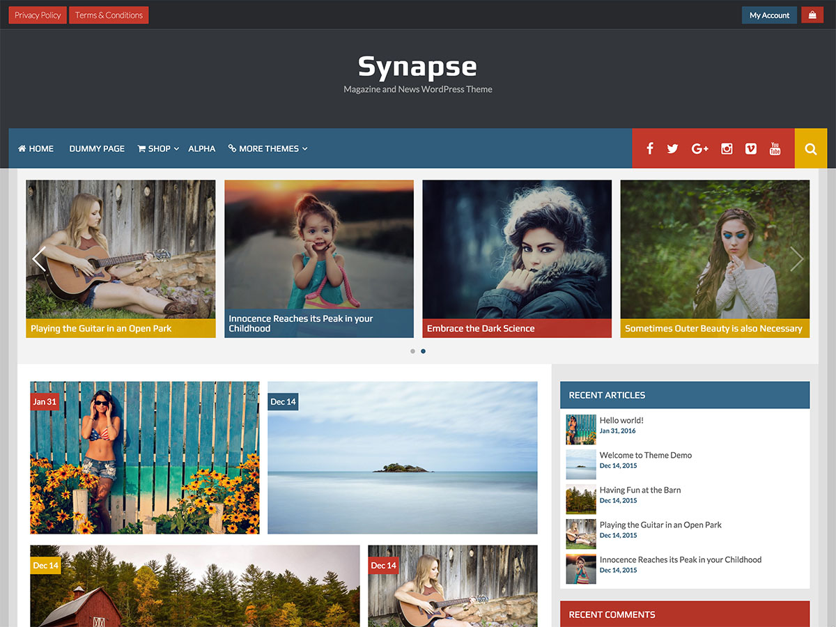 synapse free wordpress theme