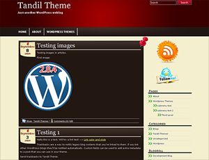 tandil free wordpress theme