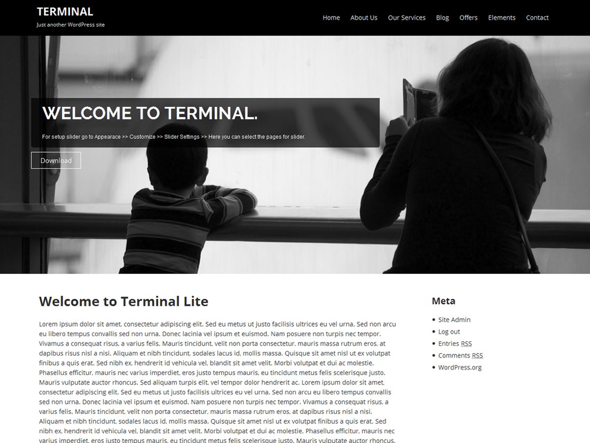 terminal-lite free wordpress theme