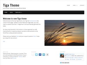 tiga free wordpress theme