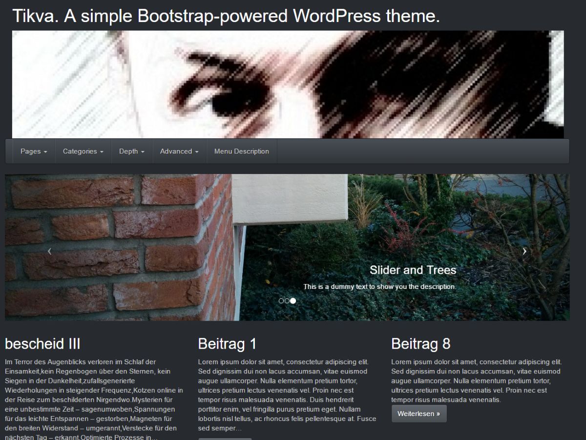 tikva free wordpress theme