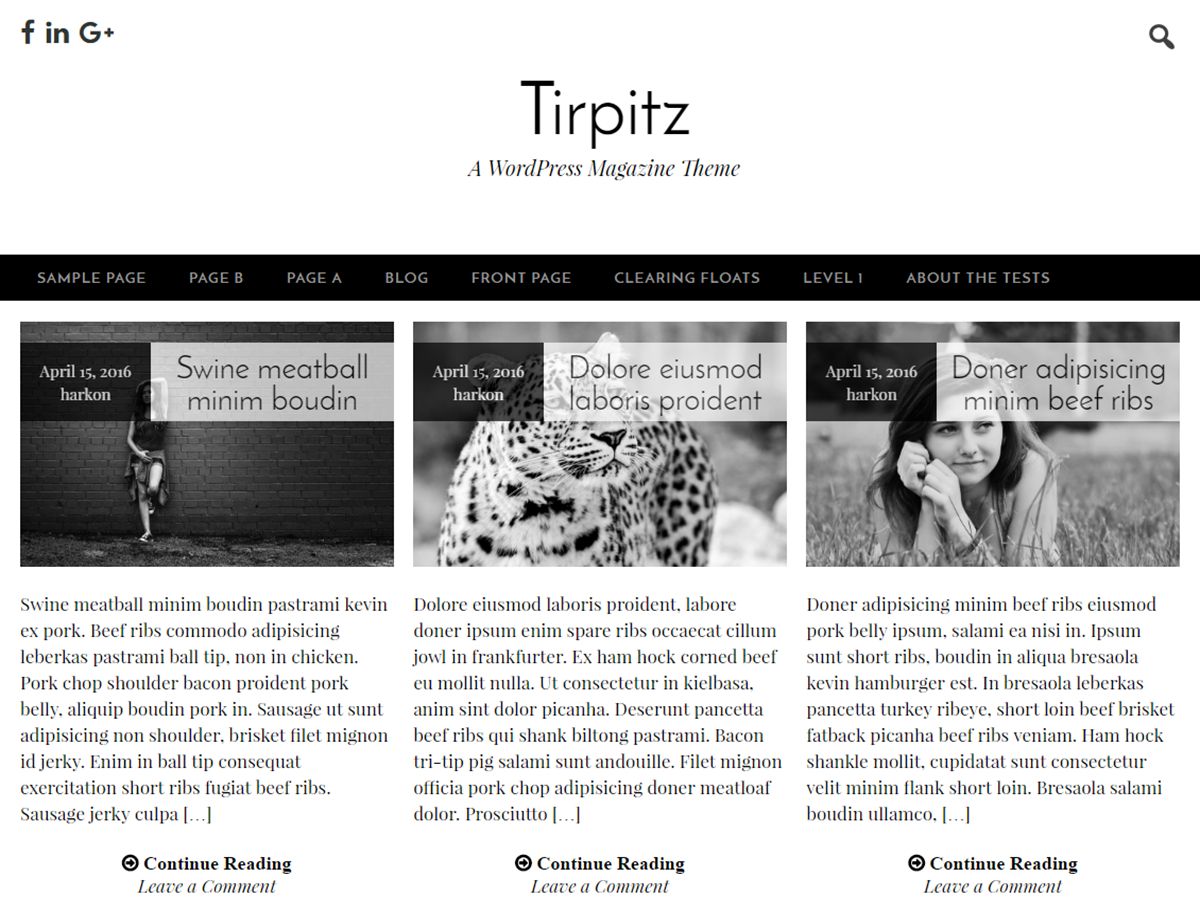 tirpitz free wordpress theme