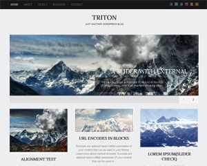 triton-lite free wordpress theme