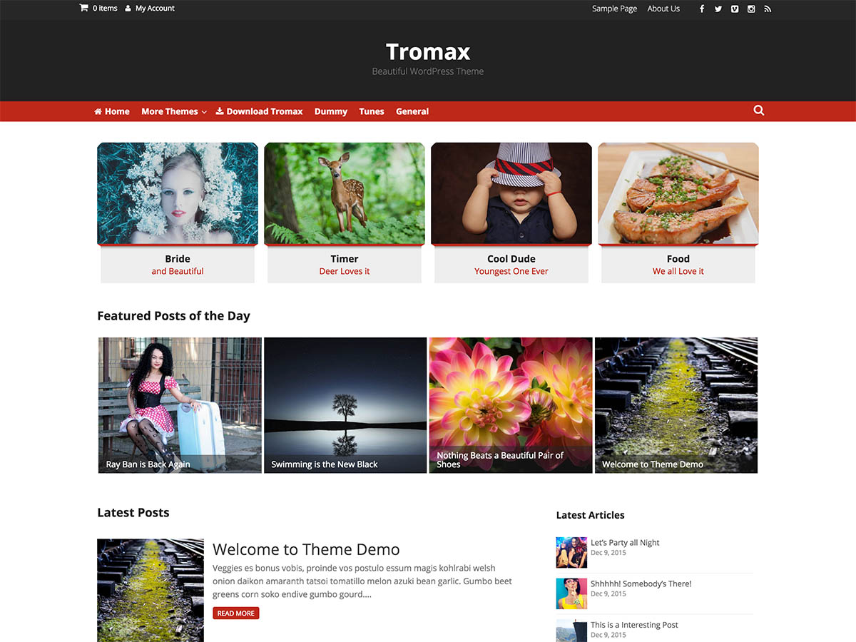 tromax free wordpress theme