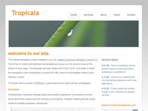 tropicala free wordpress theme