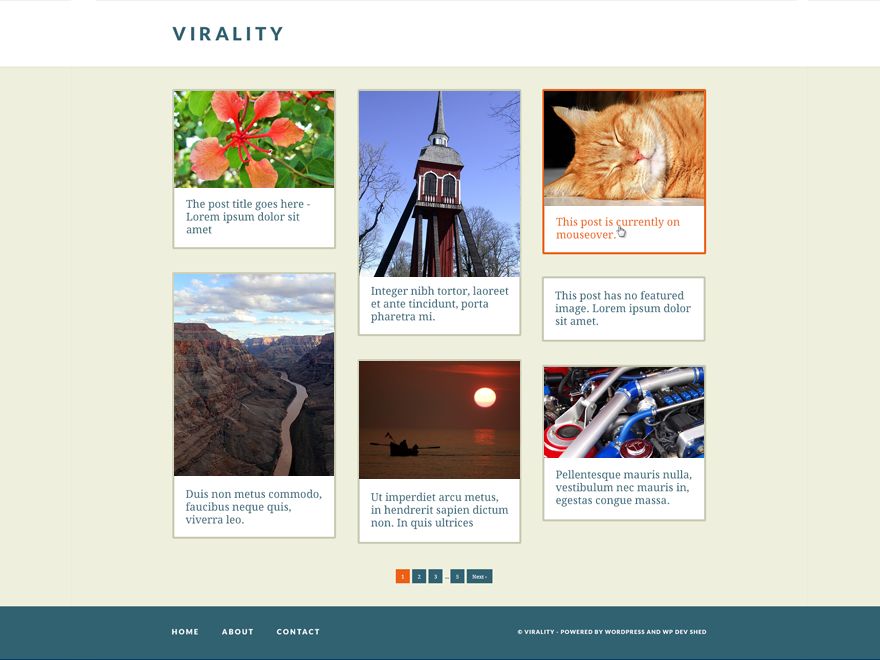 virality free wordpress theme