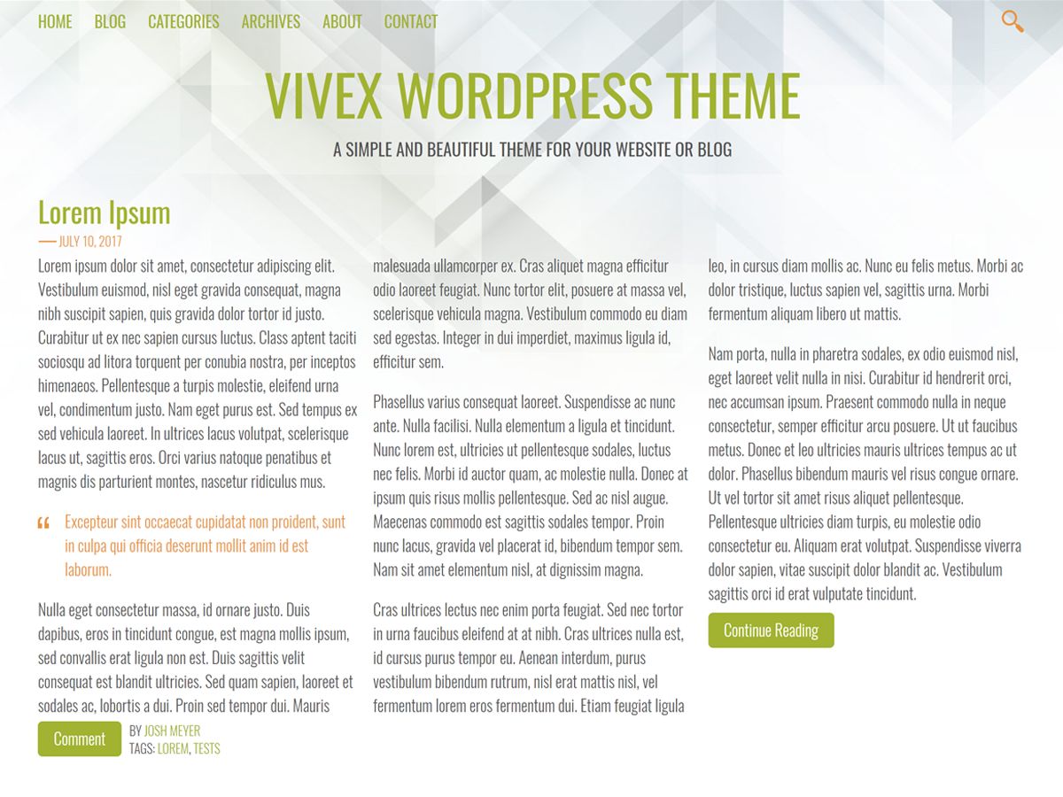 vivex free wordpress theme