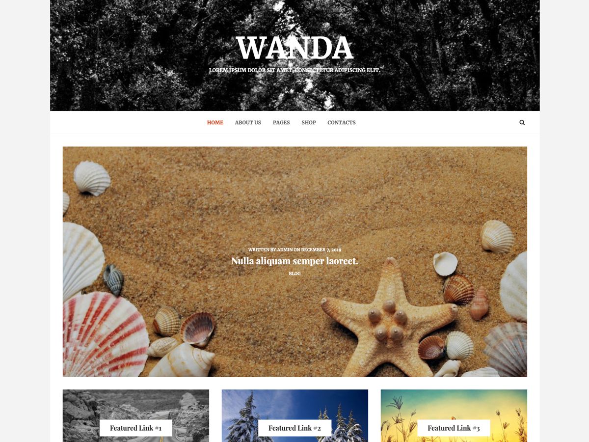 wanda-lite free wordpress theme