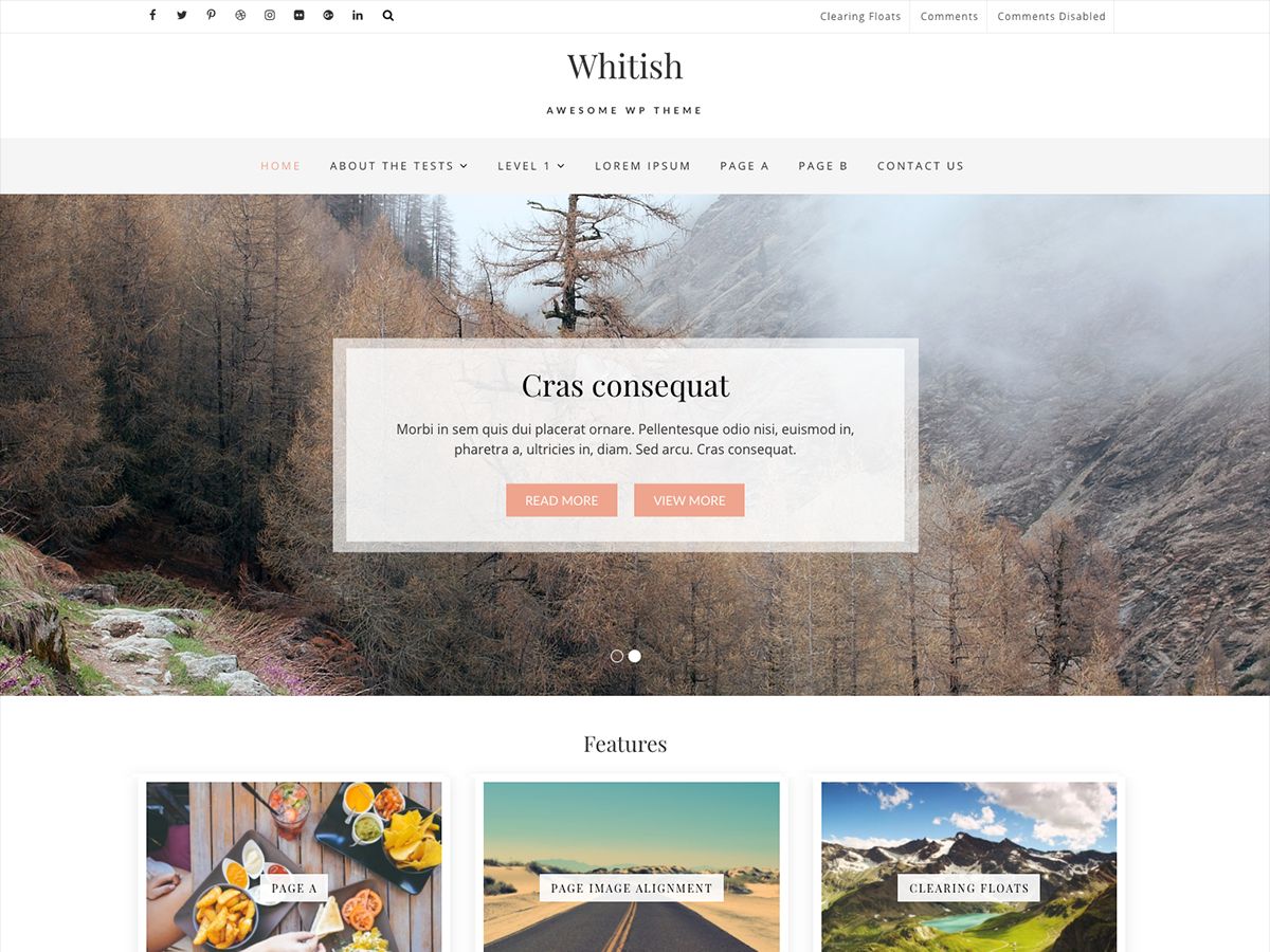 whitish-lite free wordpress theme