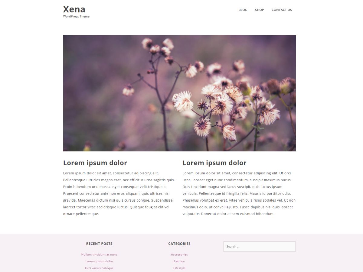 xena free wordpress theme