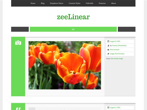 zeelinear free wordpress theme
