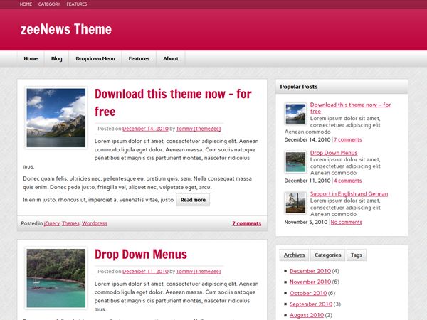 zeenews free wordpress theme