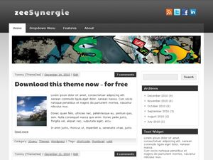 zeesynergie free wordpress theme