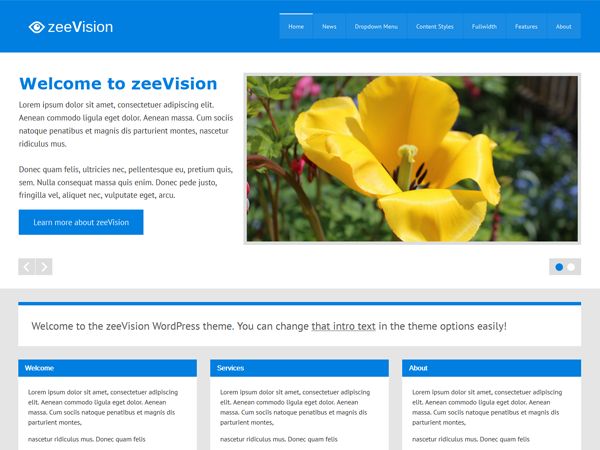 zeevision free wordpress theme
