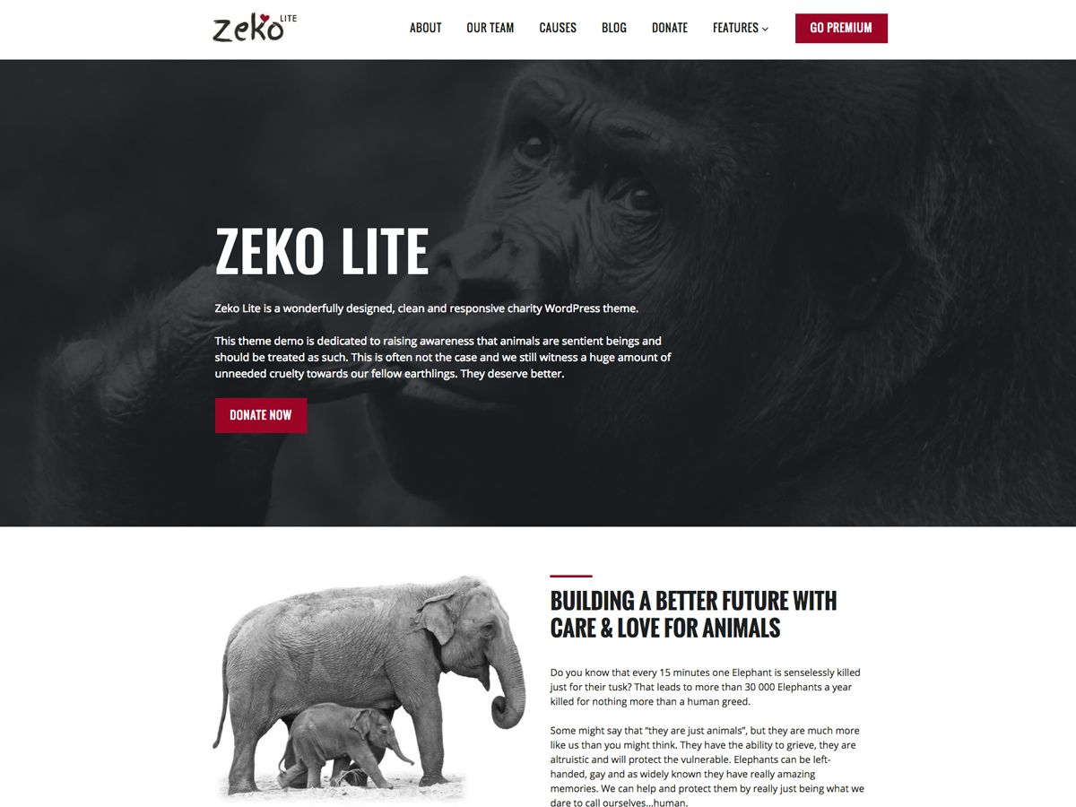 zeko-lite free wordpress theme